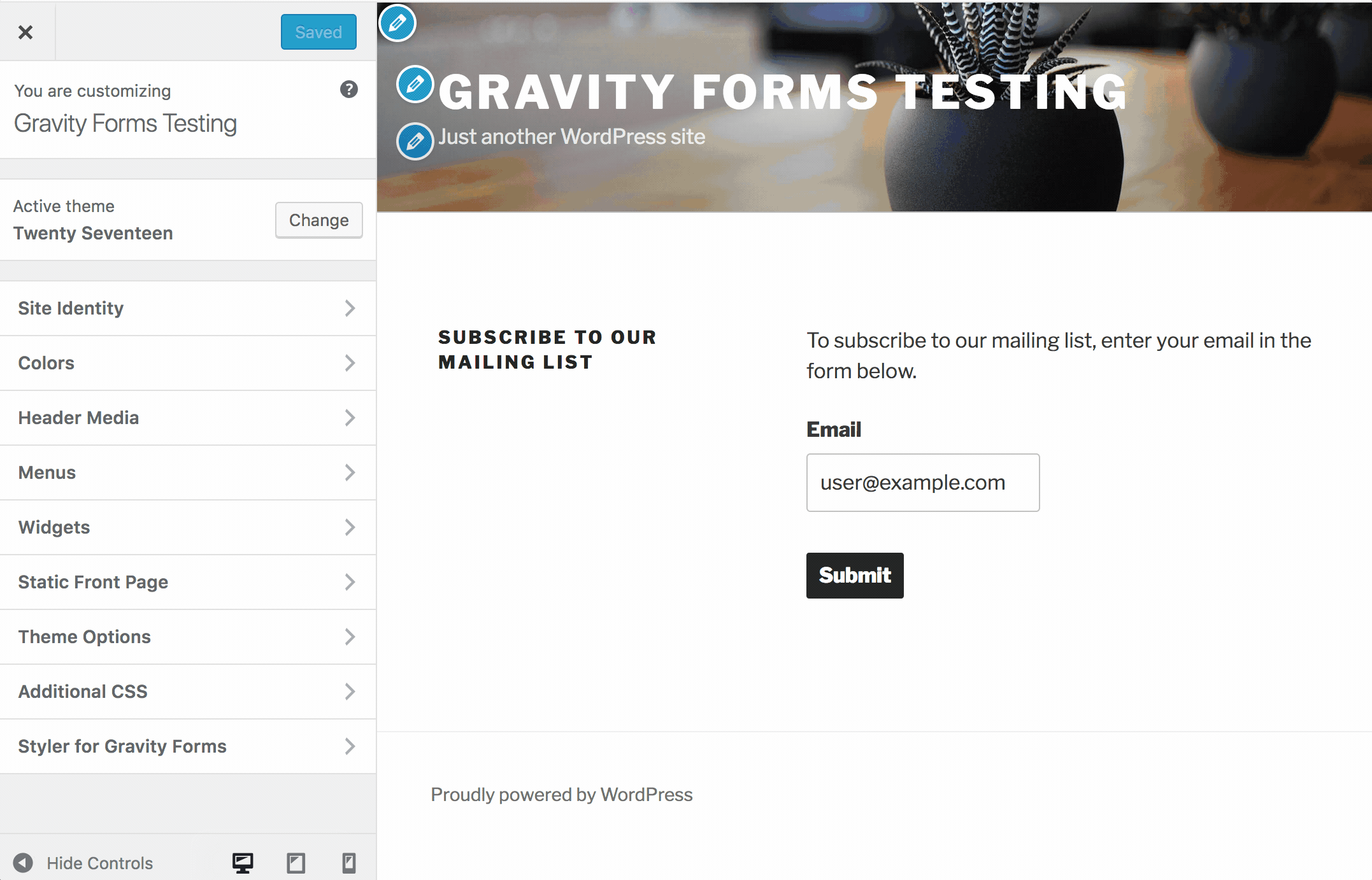 Styling Gravity Forms WordPress Customizer