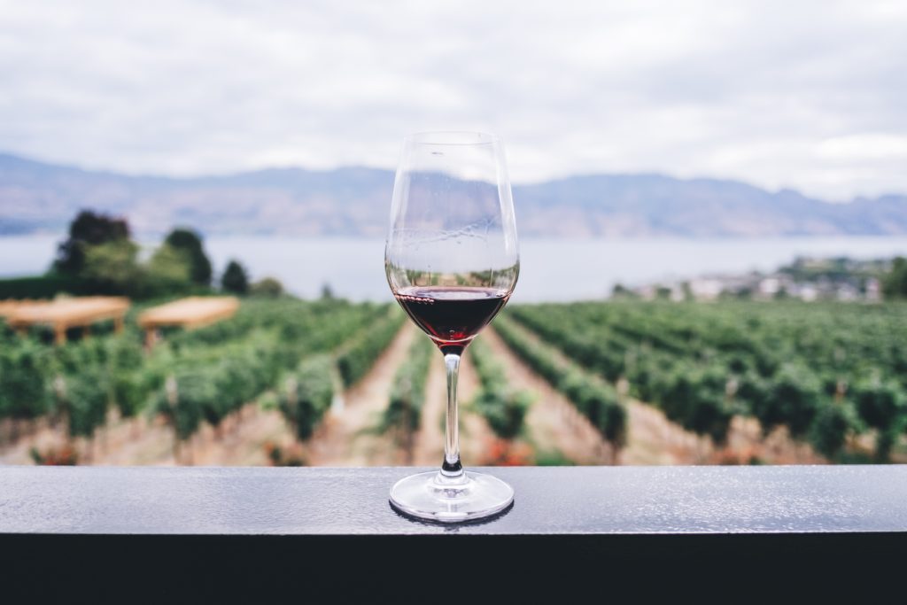 Tasteful Styles Wine Glass
