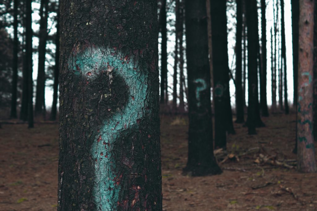 Question Marks In Woods
