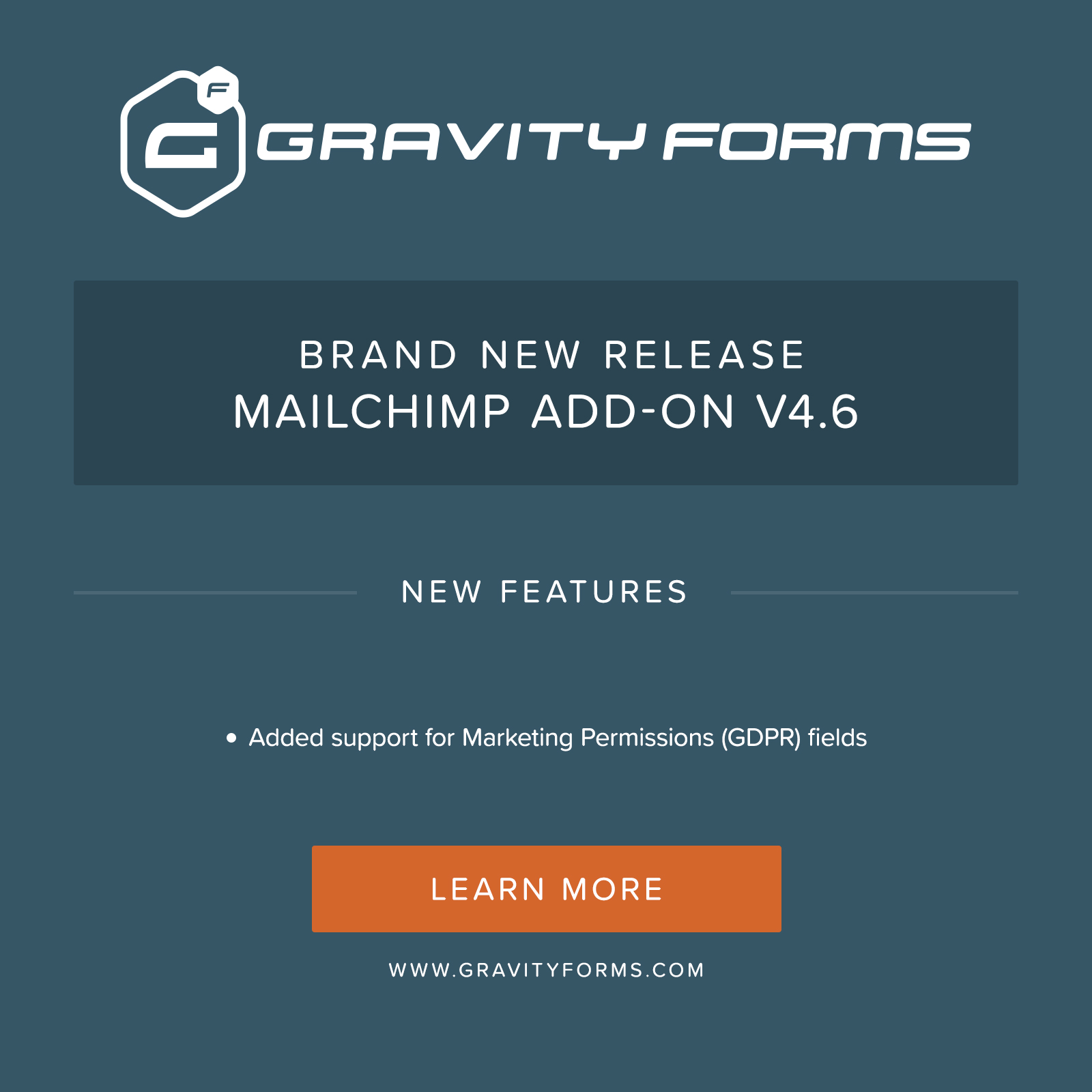 Gravity Forms Mailchimp Add On