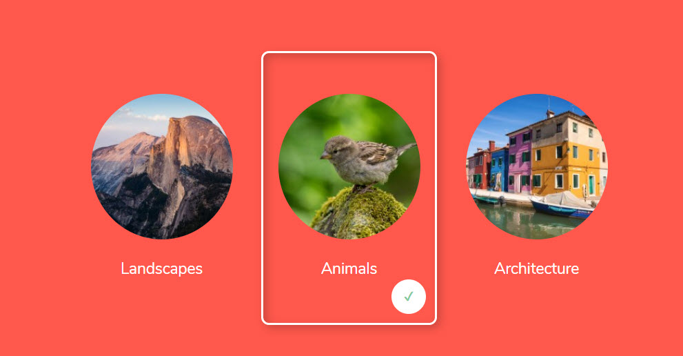 Gravity Forms Image Picker