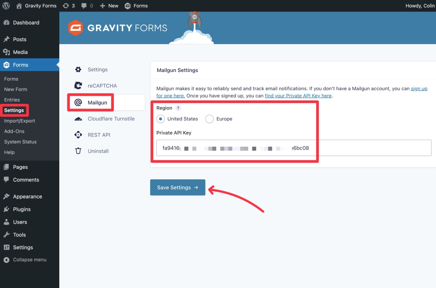 Add the Mailgun API key to Gravity Forms