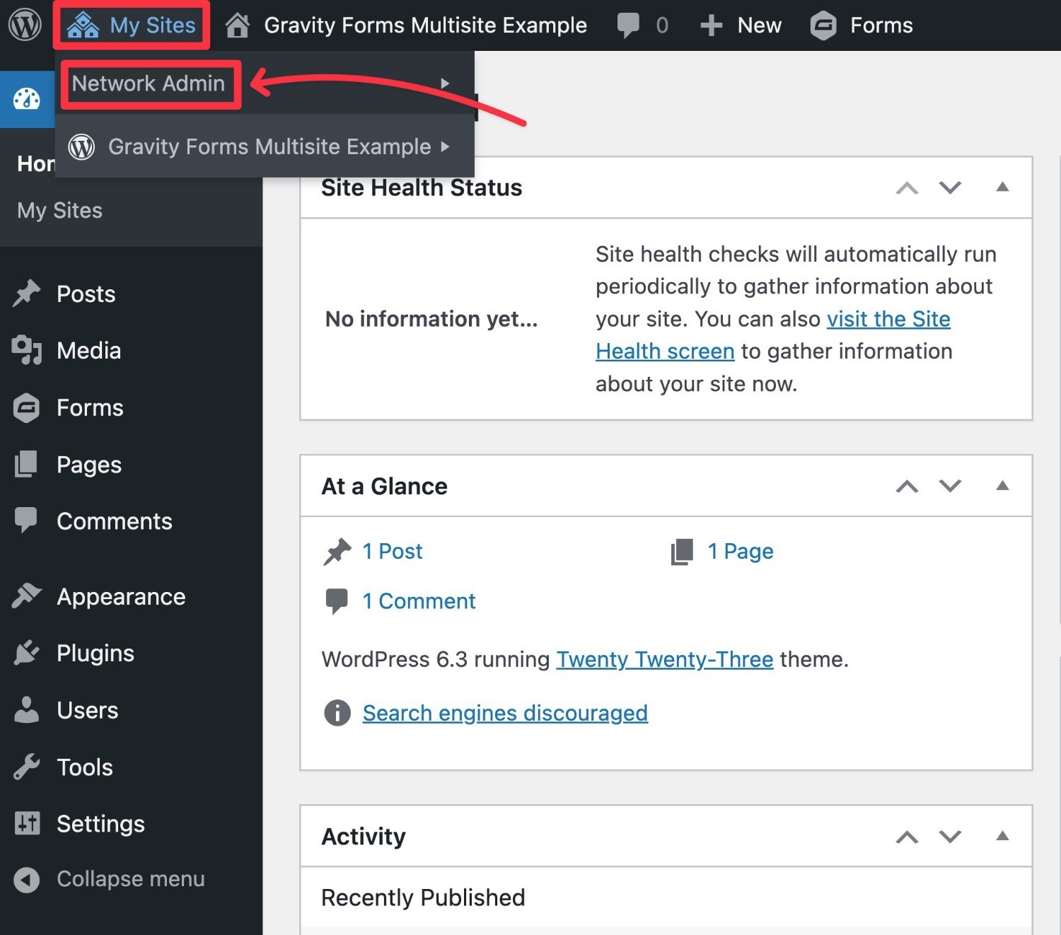 How to access the WordPress multisite network admin
