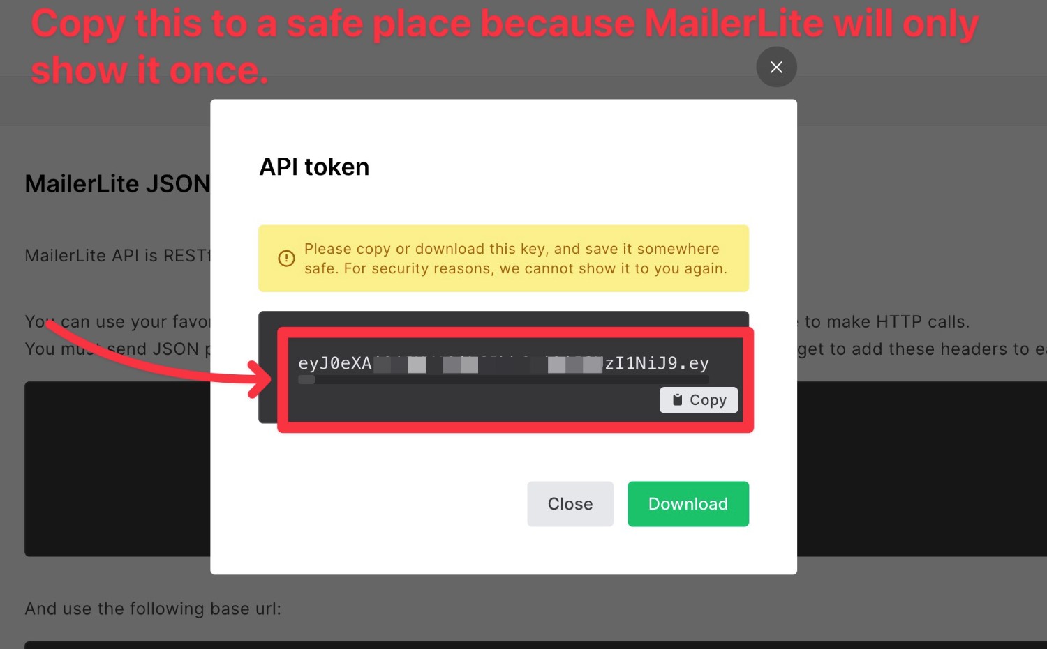 Copying the MailerLite API token