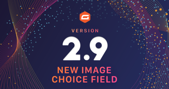 Blog - Gravity Forms 2.9-New Image Choice Field