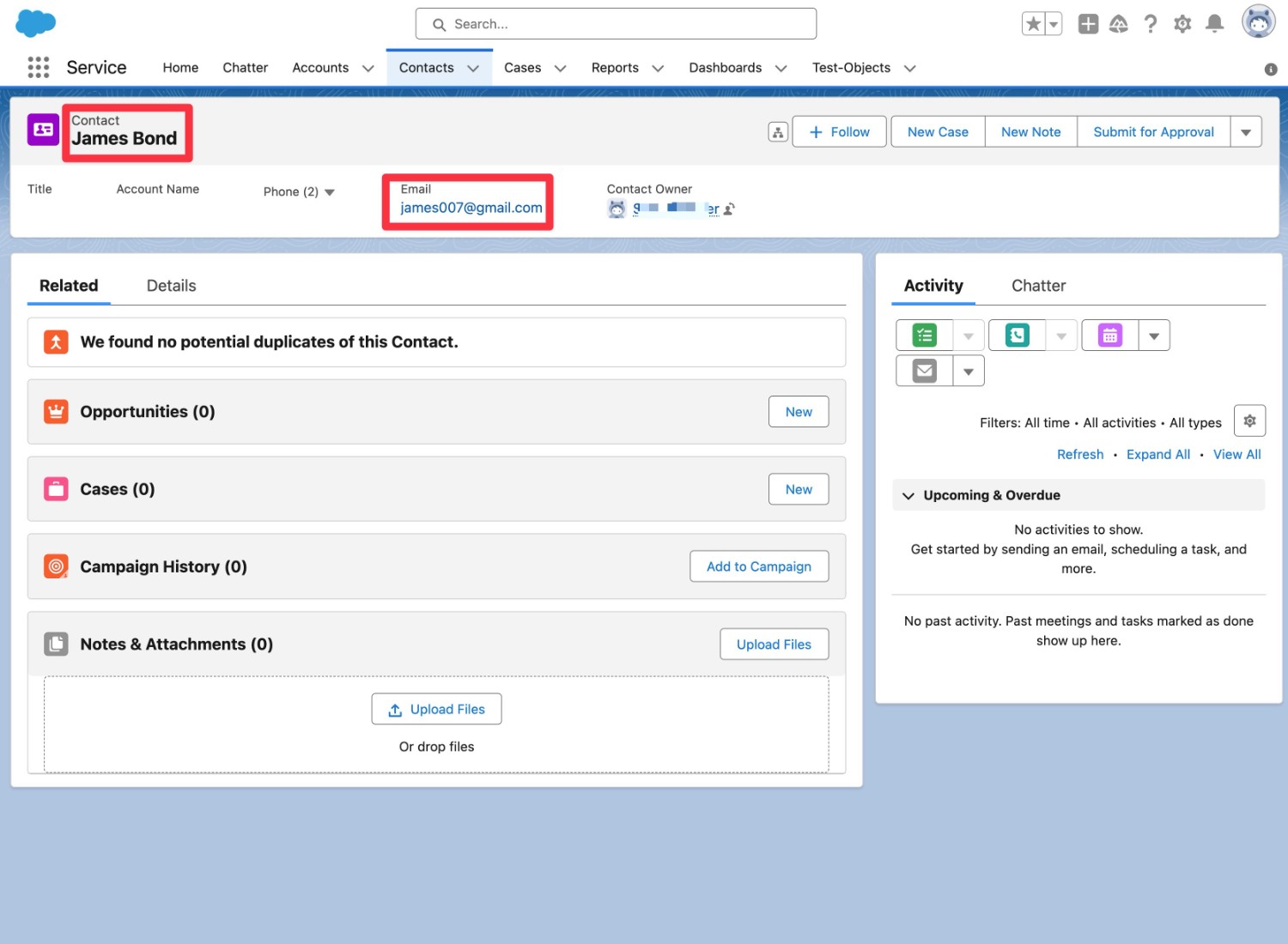 Viewing a form entry details in Salesforce