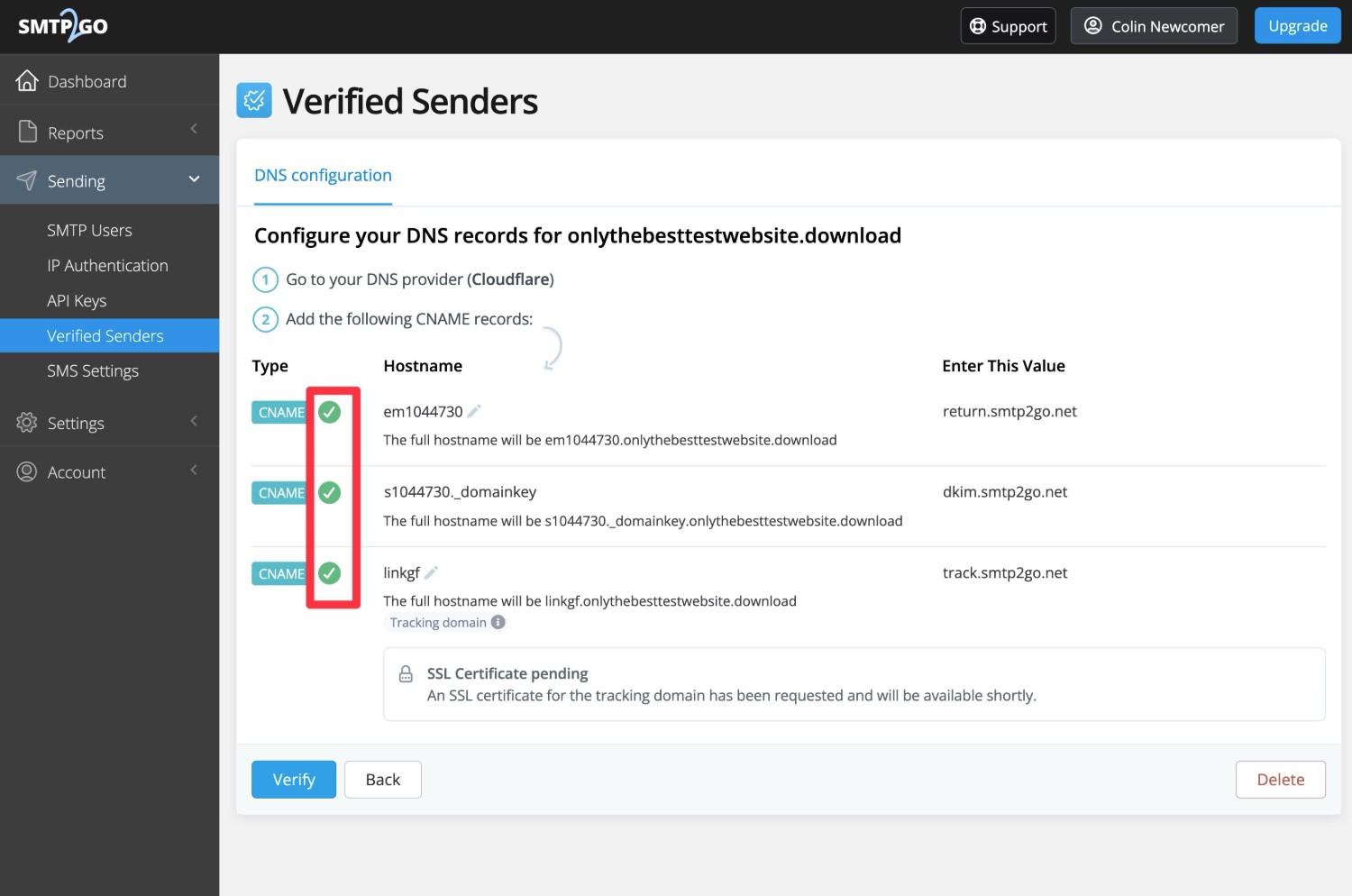 Verified DNS records