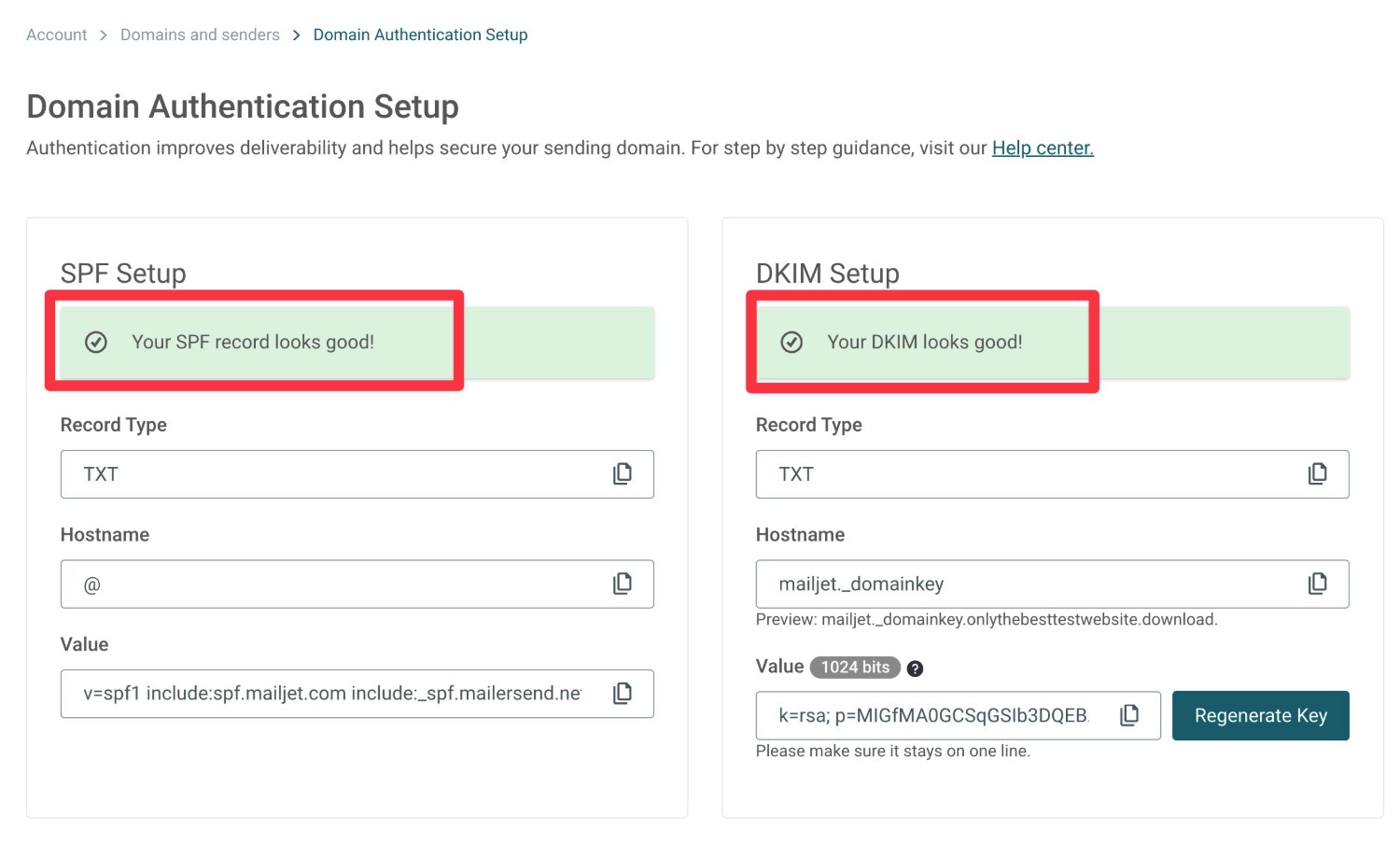 Verify your DNS records