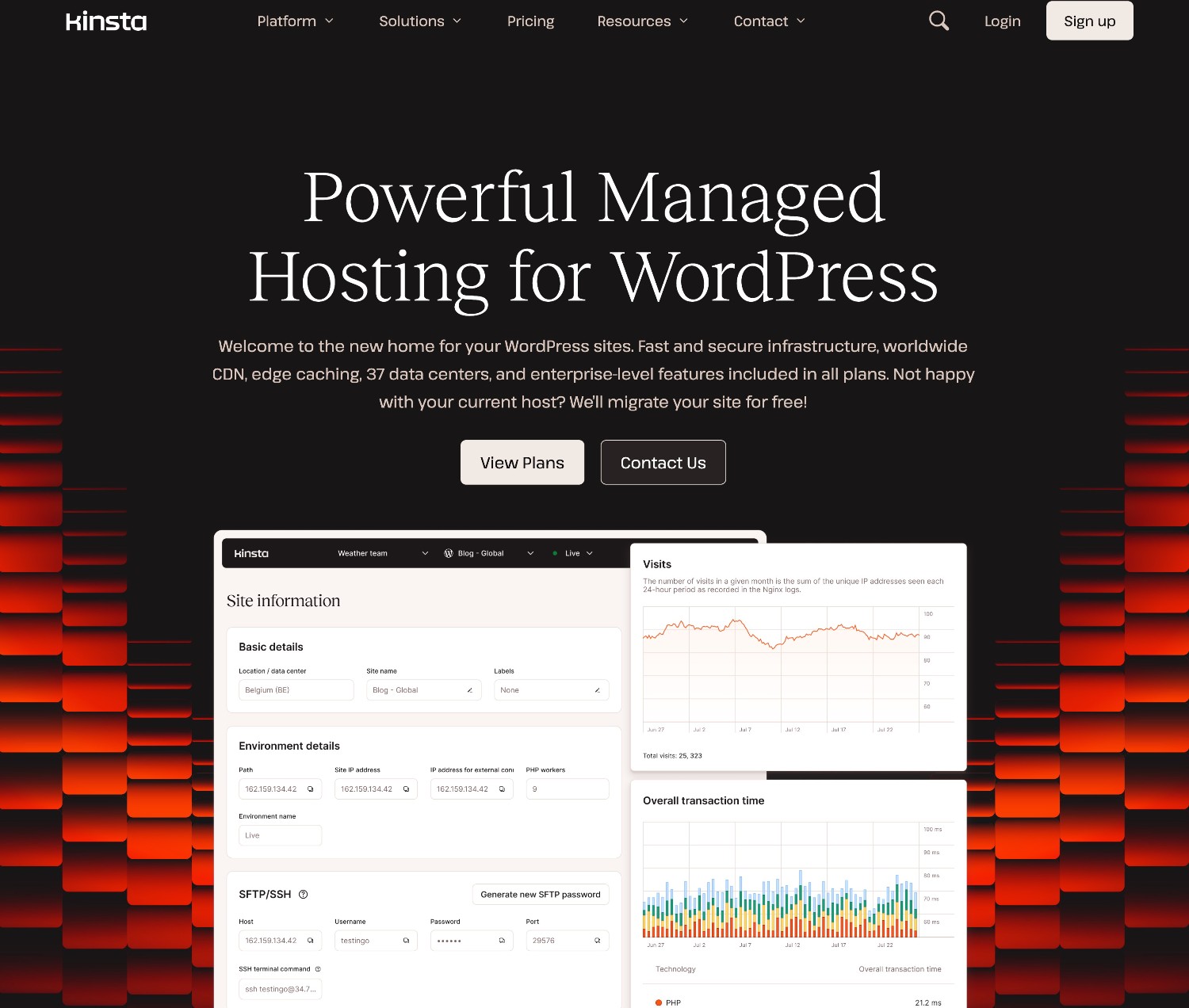 Kinsta WordPress hosting